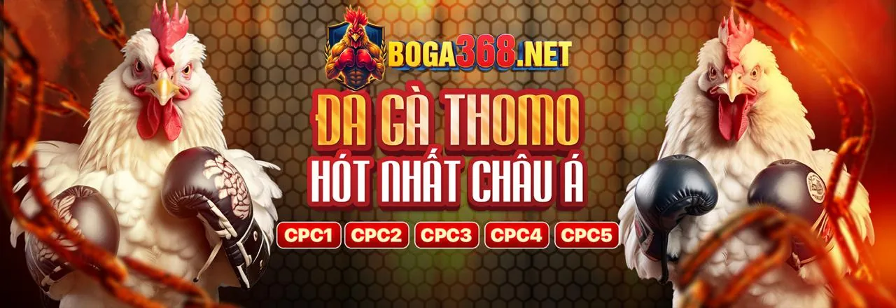 Hoàn trả hàng ngày tại xsdp